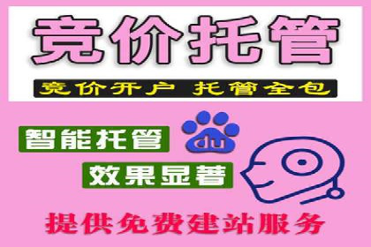 SEM运营托管助力教育机构快速崛起